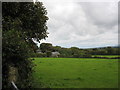 Farmland at Pen-y-graig in LL78 8QA