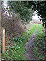 Footpath marker in NR10 3AD