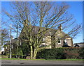 House and tree, Eland Green in NE20 9QA