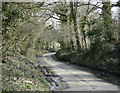 2009 : Lane to Cloford Common in BA11 4PH