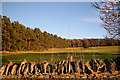View of grass field and Forest, just to the west of Kinpurnie Castle in PH12 8TW