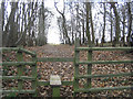 Stiles and footpath through Edney Wood in CM1 3RE