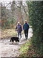 Part of the path that runs round the meadow, Ashridge in HP23 5RR