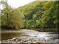Bend in the River Swale in DL10 4RQ