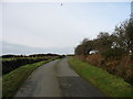 The road northwards towards Trysglwyn Wind Farm in LL69 9UF