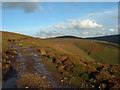 Track ,Hazelhurst Fell in Bleasdale