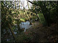 Ringway Footpath by Oak Beck in HG3 2XR