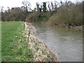 Bend on the Stour near Shapwick in DT11 9LA