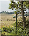 Public footpath sign nr Steeple Bumpstead in CB9 7ET