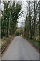 The Road from Pilhough to Rowsley in Rowsley