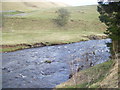 River Coquet at Linshiels in NE65 7BL
