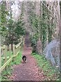 Footpath behind Woodland Close, originally from Tring to West Leith in HP23 4DH