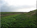 Footpath descending along a spur to the marshy valley floor in LL63 5YR