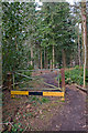 Minor path in Lord's Wood in SO16 8HT
