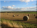 Field of round straw bales in NE61 3QQ