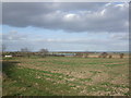Fields to Masons Poultry Farm in DN17 4SE