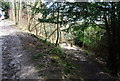 Footpath coming up the hill to meet the Hanger Way, Ashford Hanger in GU32 1DX