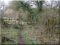 Footpath near Lawn in SP3 6TY