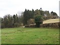 Pasture land near Newtown in SP3 6TY