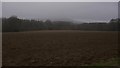 Large bare field at Slathurst Farm in GU30 7ND
