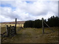 Open gate to Hay Hillock in AB54 4HQ