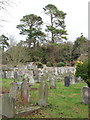 Churchyard, St John the Baptist, Bishopsteignton in TQ14 9QA