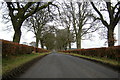 View of Meigle / Logie Road bounded by hedges in PH12 8RJ