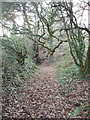 Footpath above Teignmouth in TQ14 9NX