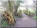 Footbridge by Arbrook Common in KT10 9EG
