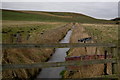 View of Baikie Burn looking upstream in DD8 5NY