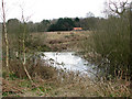 Small pond beside the path in NR10 5NT