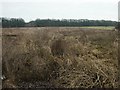 Marshes and bridge, Drayton in NR8 6SF