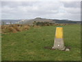Trig point, on summit of Ynyshir in CF39 9UE