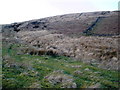 Rough moorland, above Cwmparc in CF42 6LF