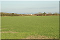 Fields looking to West Huntspill in TA9 3RH