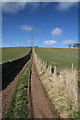 Track up towards White Hill in DD8 3TY