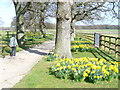 Spring at Normandie Stud in RH14 0NN