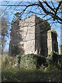 Mausoleum of Sir James Tillie of Pentillie Castle in PL12 6RH