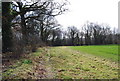Footpath by the hedge in GU34 3HY