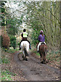 Horse riders on bridleway in NR10 4EB