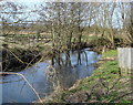 River Gipping, Paper Mill Lane in IP8 4DD