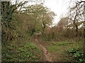 Path near Comeytrowe in South West English Region