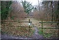 Forestry Commission permissive path, Wick Wood in GU34 3BU
