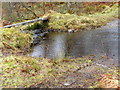Ford and a (very slippery) footbridge across Allt Coire Shalachaidh in IV3 8LD