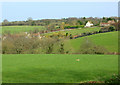 2009 : Pasture land near Chelwood in BS39 4NJ