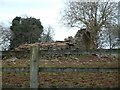 The remains of Llwynau Church in NP15 1LR