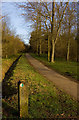 Linford Wood footpath, Milton Keynes in MK13 7NN