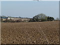 Farmland near Greywell in RG29 1BN