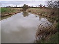 River Beult from bridge looking west in TN12 9SX