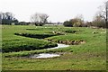 River restoration of the River Cole in SN6 7PR